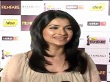 Very Hot Prachi Desai At Filmfare Pre-Awards Nomination