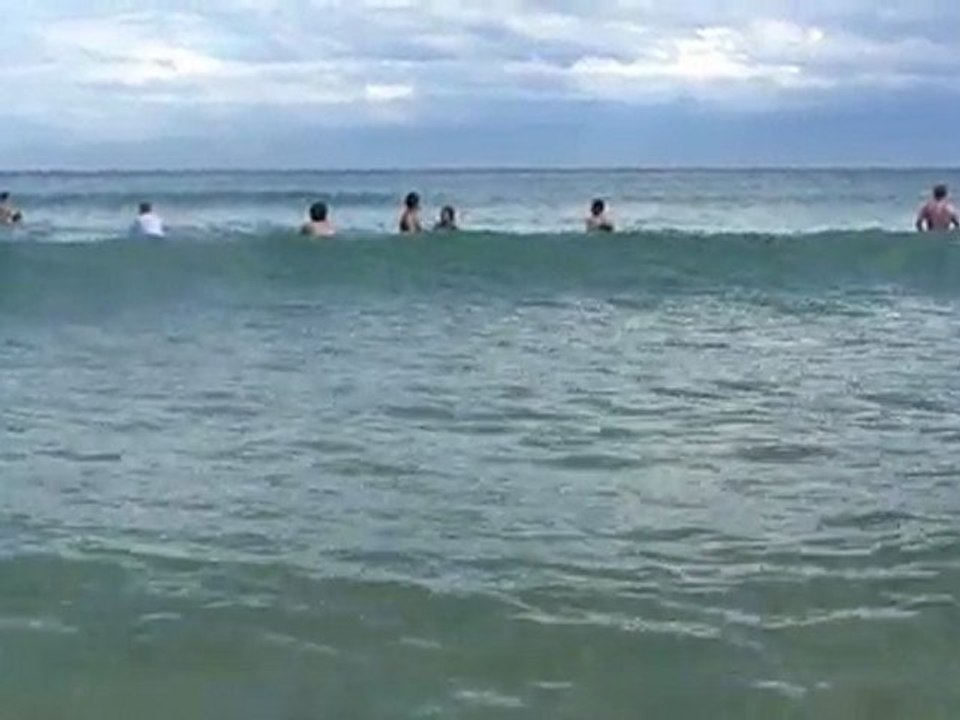 Surf Bondi Beach Sydney