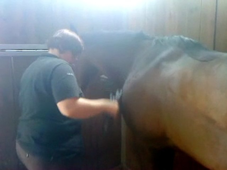 Tonte Hermès- 26/03/2011