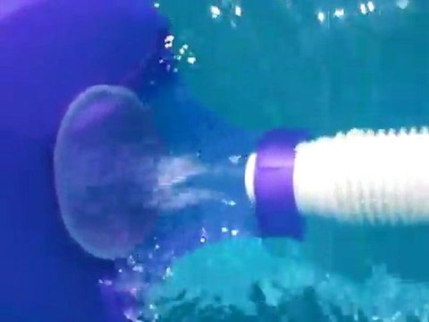 Pool devil automatic swimming pool cleaner