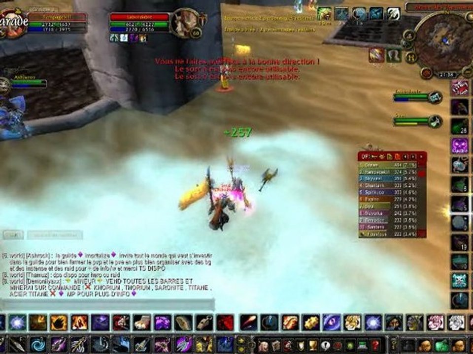 WoW lvl 60 hunt PVP 2v2