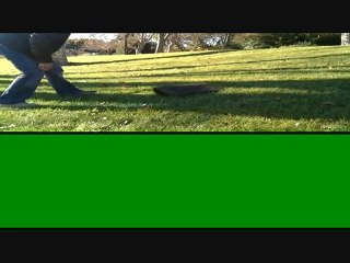 gazon- synthétique au mileu d'un parc