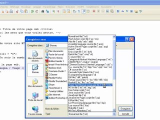 [H-S] Preuve que l'on peut créer une page web simple, rapidement.