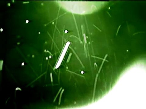 STS75 Tether Incident - flightpath velocity tracking of all unidentified objects (short demo)