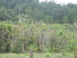 Terreno Gigante de 3000 manzanas en Intibuca