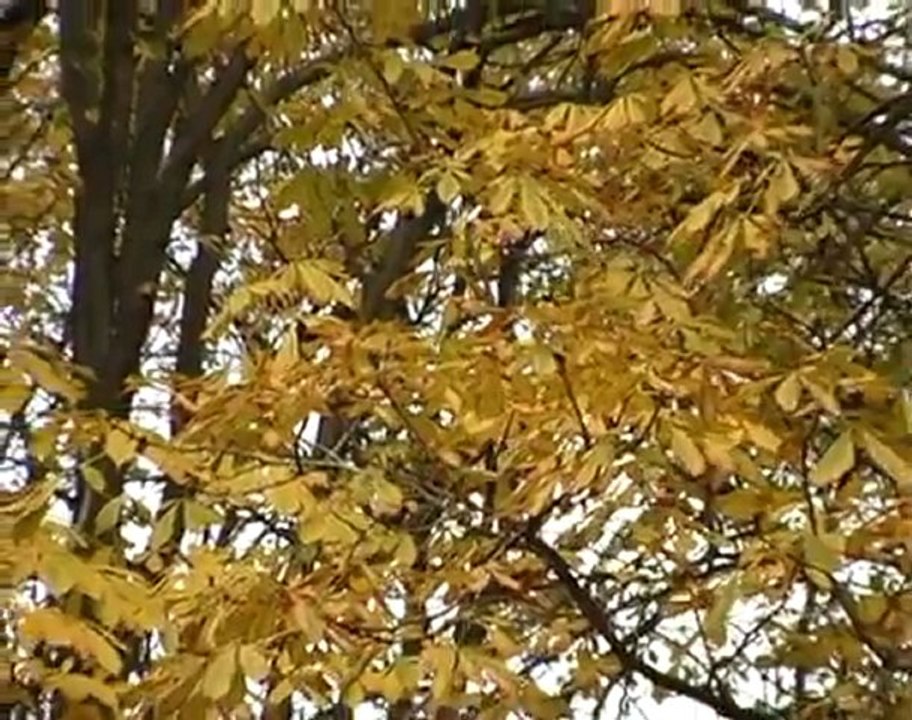 Юрий Черкашин - Осень