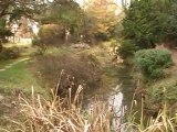 Les décorations des arbres du parc Beaumont