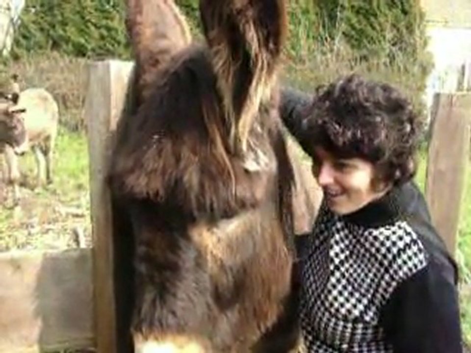 Calins à Cadi Mars 2011