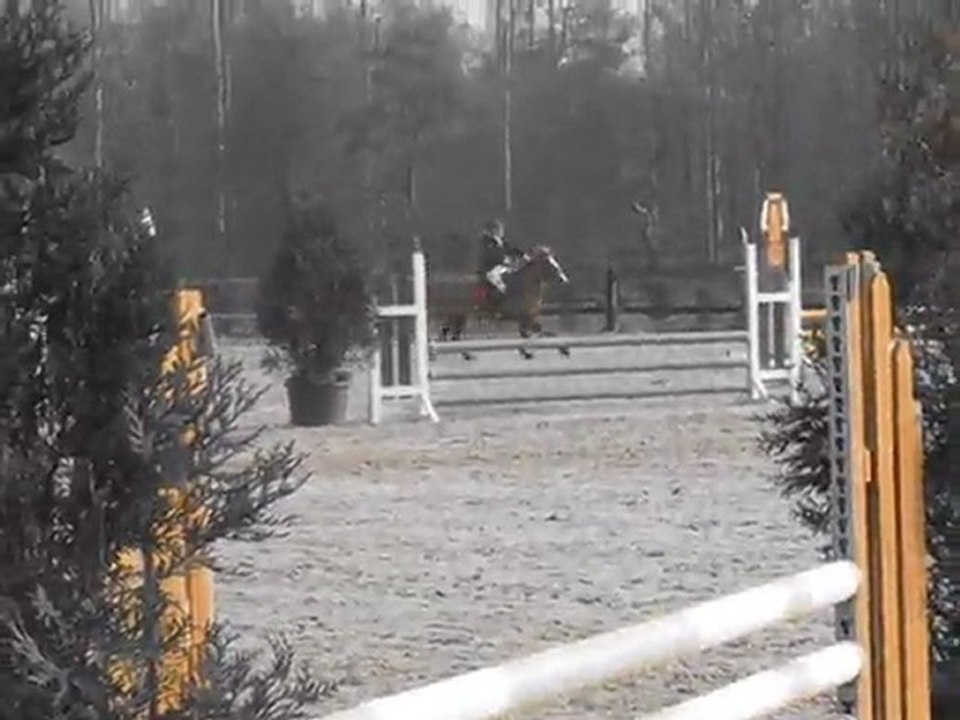 Ma chute avec Ma belle Flicka