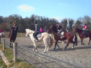 Le Joyau d'Or Hiver 2011