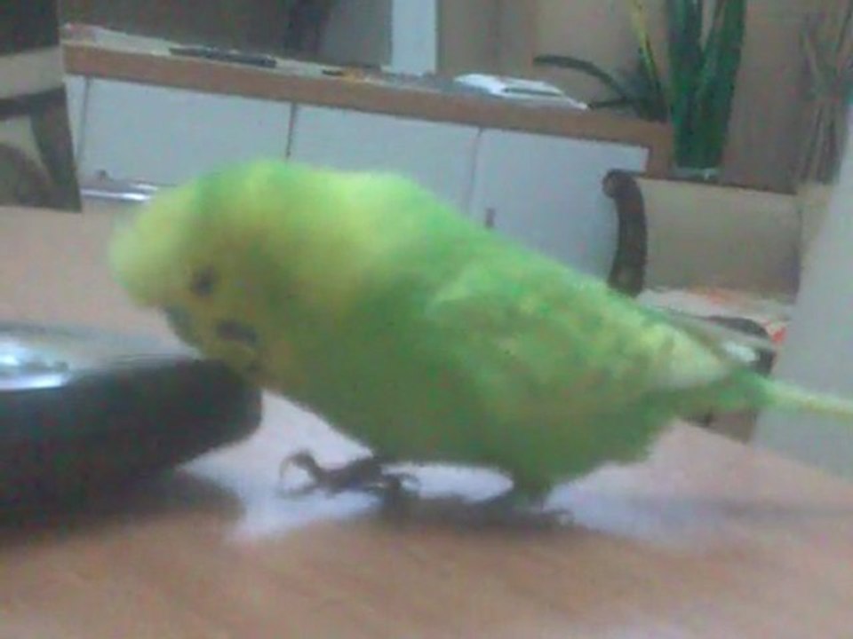 Video0090