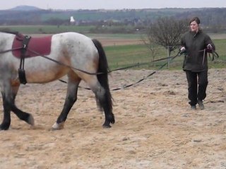 26 mars longues rênes usoa