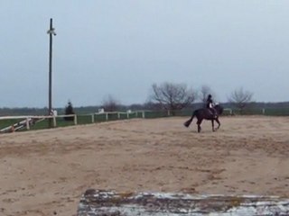 Carrière trot