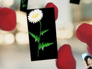 FREE WEDDING CHECKLIST