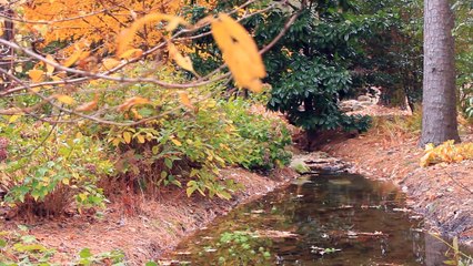 Old people are embarrassing.