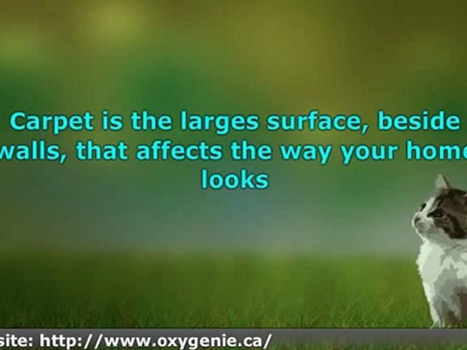 Why Professional Calgary Carpet Cleaning Makes Sense :- Carpet Cleaners