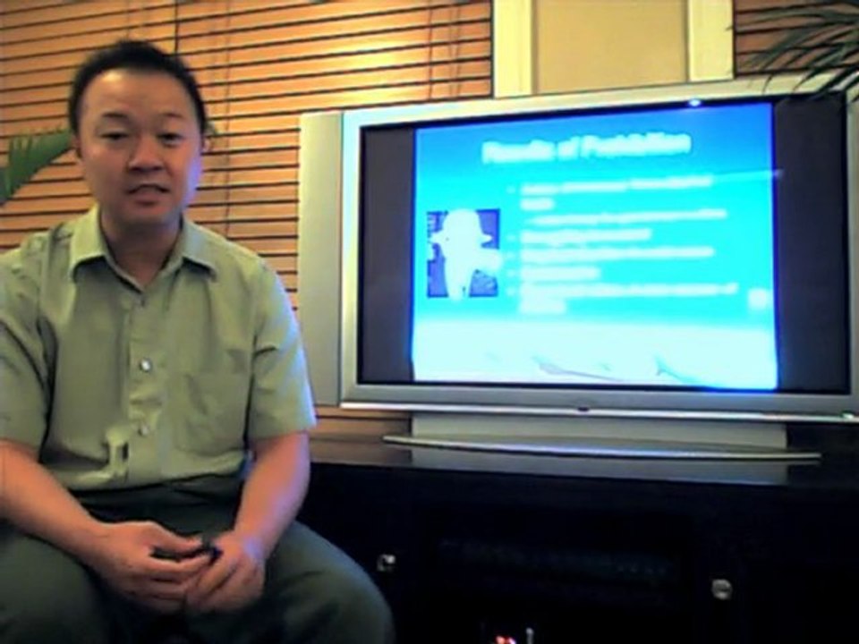 Mr. Mai's lecture on the 1920s for HIST 202.  Part 3/3.