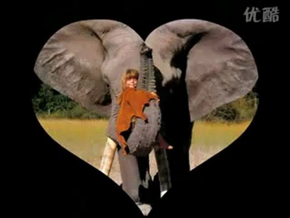 TIPPI - Wild Child - Diaporama - Enya