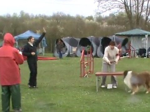 Cirius 2ème degré Chateauroux 03 2011