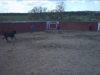 Salamanca: Historic City with Rich Culture