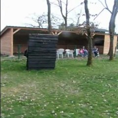 Faya après 3 mois en maternelle des chiots 2