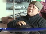 Japan's pet survivors face post-tsunami struggle