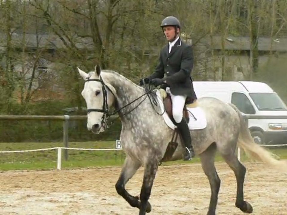 Nicolas sur Pirate.Amateur 3 B. 27 mars 2011.dressage Laval.