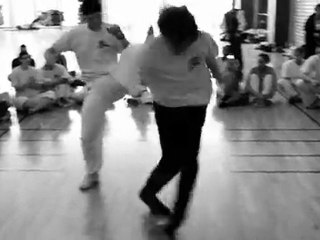 Capoeira Ginga Nago Tours 2011