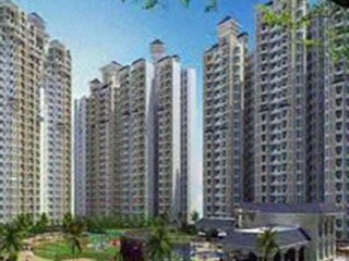 Property Dealers in Noida, Jaypee flats in Noida
