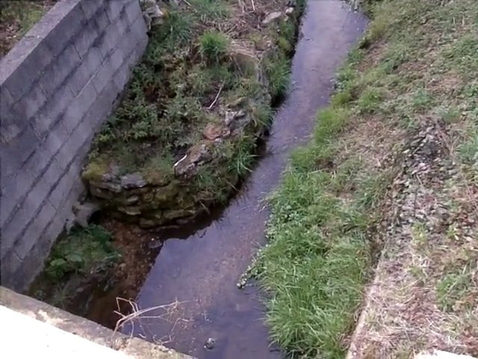IMAG0576