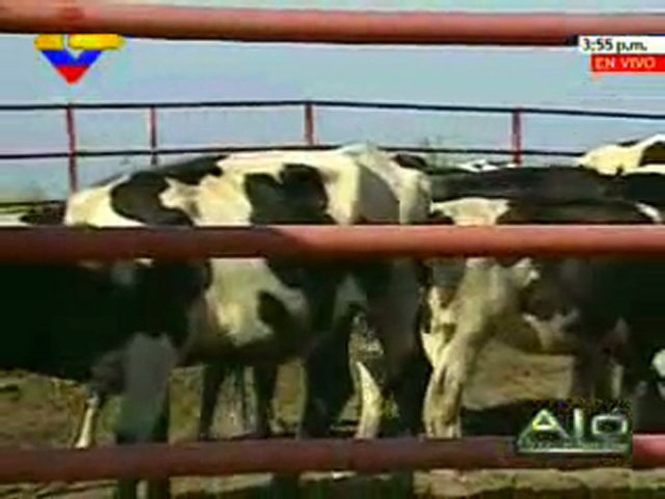 PRESIDENTE CHÁVEZ LLAMA A RECUPERAR TIERRAS AGRÍCOLAS