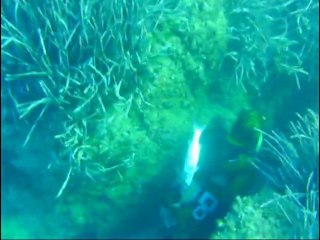 chasse sous marine de agay a menton