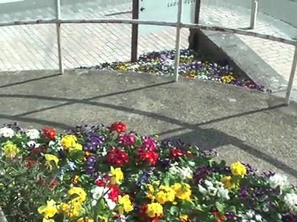 Pouillon Clap Argent Festival du JT 2011