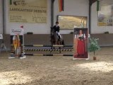 Pferde Turniersport - Reiten in Sachsen