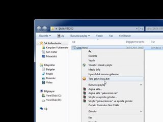 BSR-2011.03.28-20.08.56