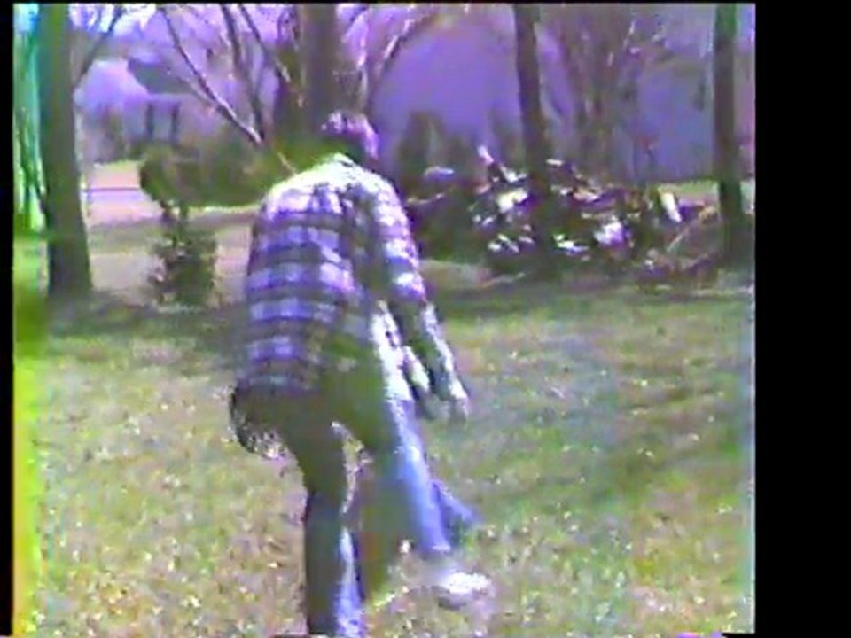 Heinbach 1981