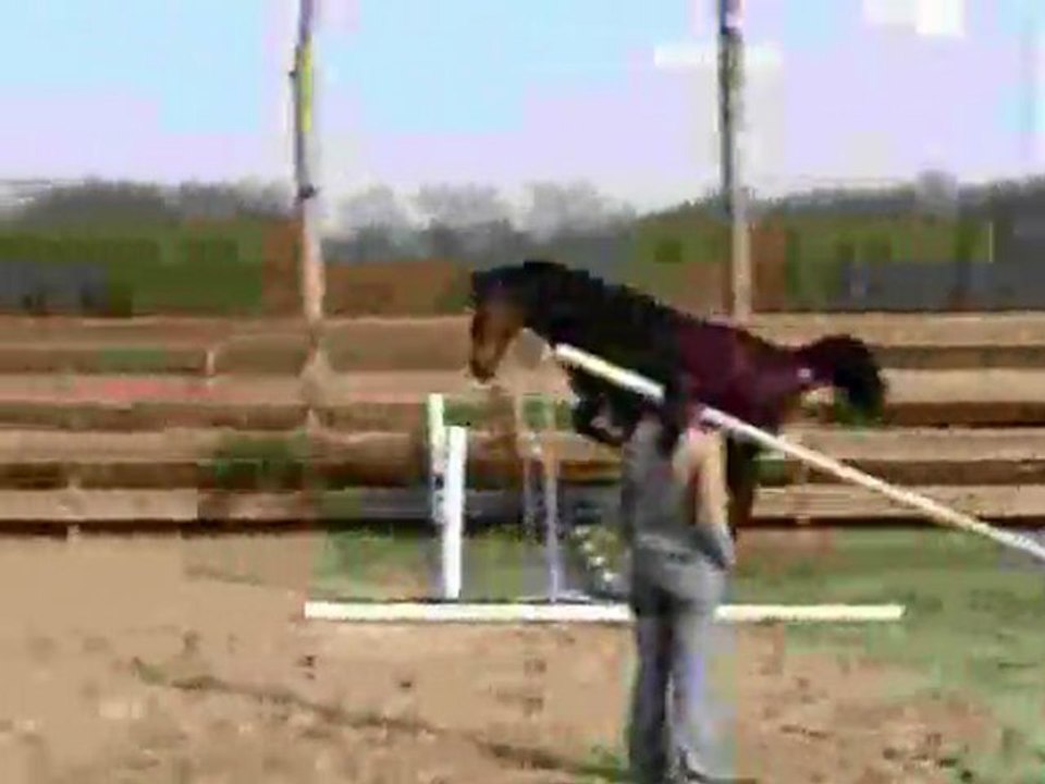 ULTIM SAUT EN LIBERTE 27032011