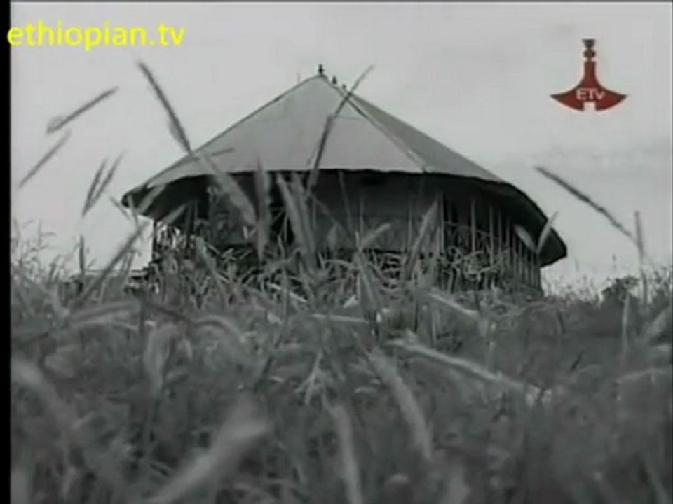 Zewde Nesibu, The story of a 128 years old Ethiopian (partie 1)