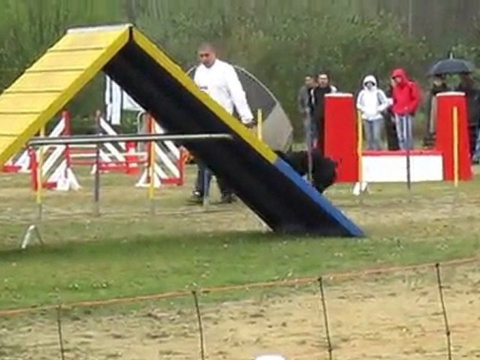 Attila   GPF