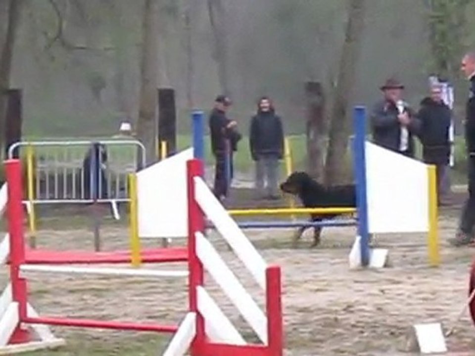 Attila jumping +