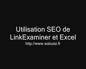 Analyser la structure SEO d'un site avec LinkExaminer et Excel