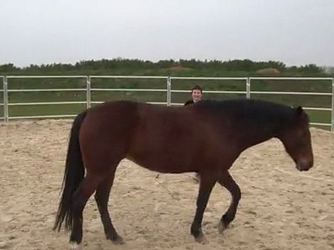 19.03.2011 Mome en liberté, rond de longe