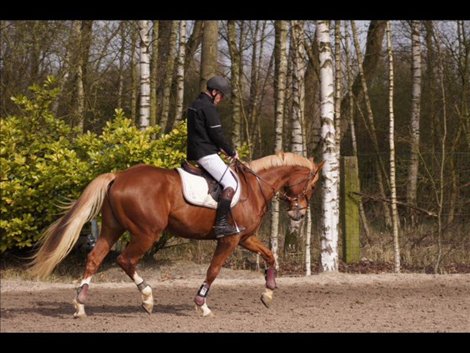 TYSON CSO 4 ANS LES PHOTOS DU PARCOURS A VERQUIGNEUL