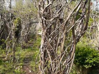 Lundi 28 Mars 2011   Sculptures-Vivantes