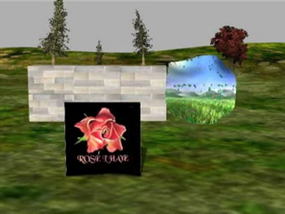 debut rose.wmv