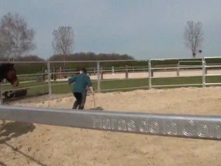 20.03.2011. Mome dans le rond longe