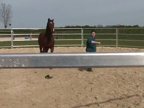 20.03.2011. Mome dans le rond longe