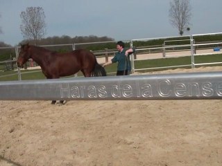 20.03.2011. Mome dans le rond longe