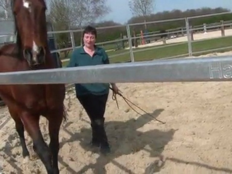 20.03.2011. Mome dans le rond longe