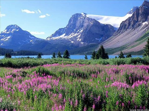 Neil Young - Four Strong Winds